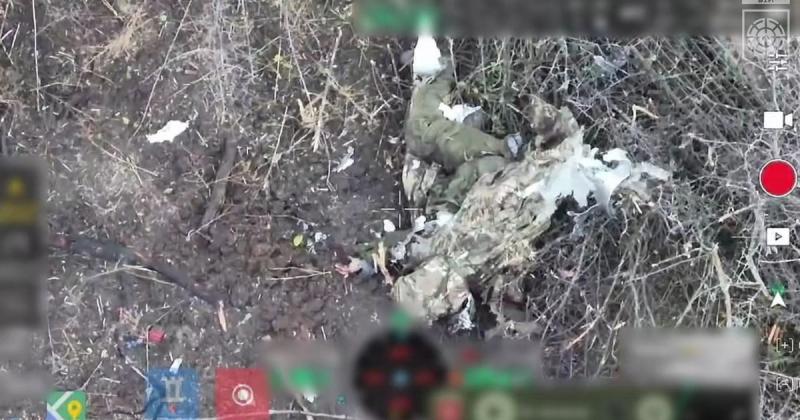 Окупантів виявили в лісових масивах Харківської області: оператори дронів 