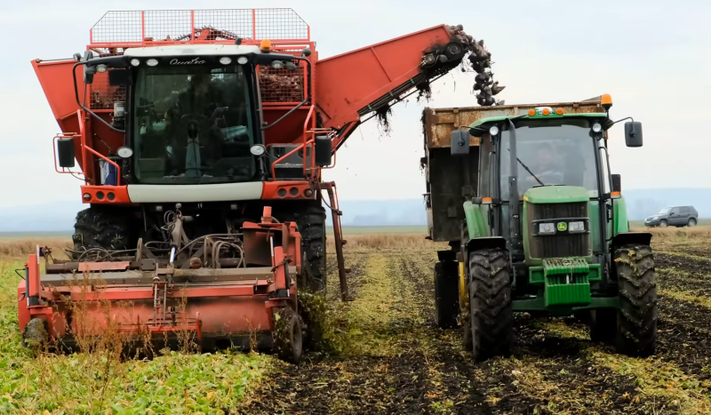 У 2026 році уряд збільшує свою підтримку сільськогосподарського сектору: впроваджуються нові грантові програми, компенсаційні виплати та акцент на переробній промисловості.