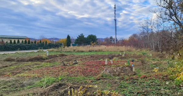 У Винниках відбулося продаж двох земельних участків, які планується використати для зведення складів та житлових будинків.