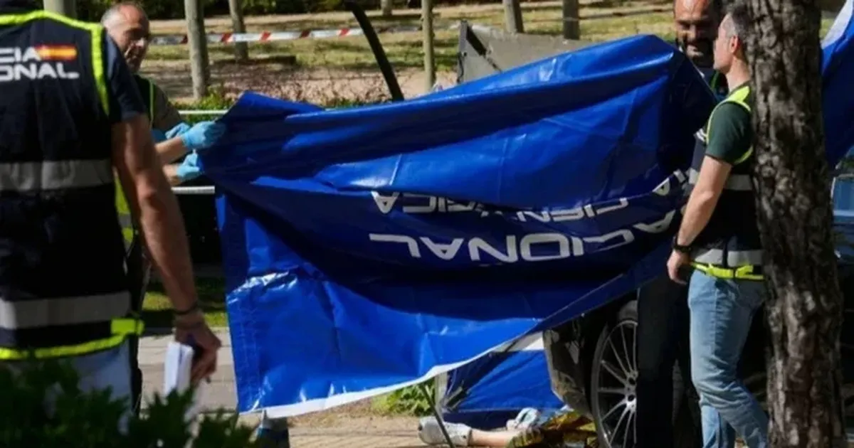 У справі щодо вбивства Портнова в Німеччині затримали особу, підозрювану у злочині: які факти відомі про неї.