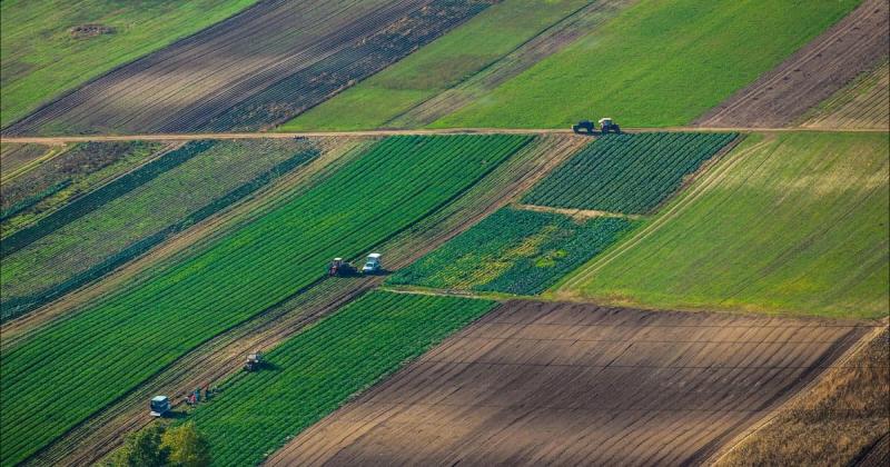 В Україні планується впровадження комплексної системи моніторингу та обліку земельних ділянок.