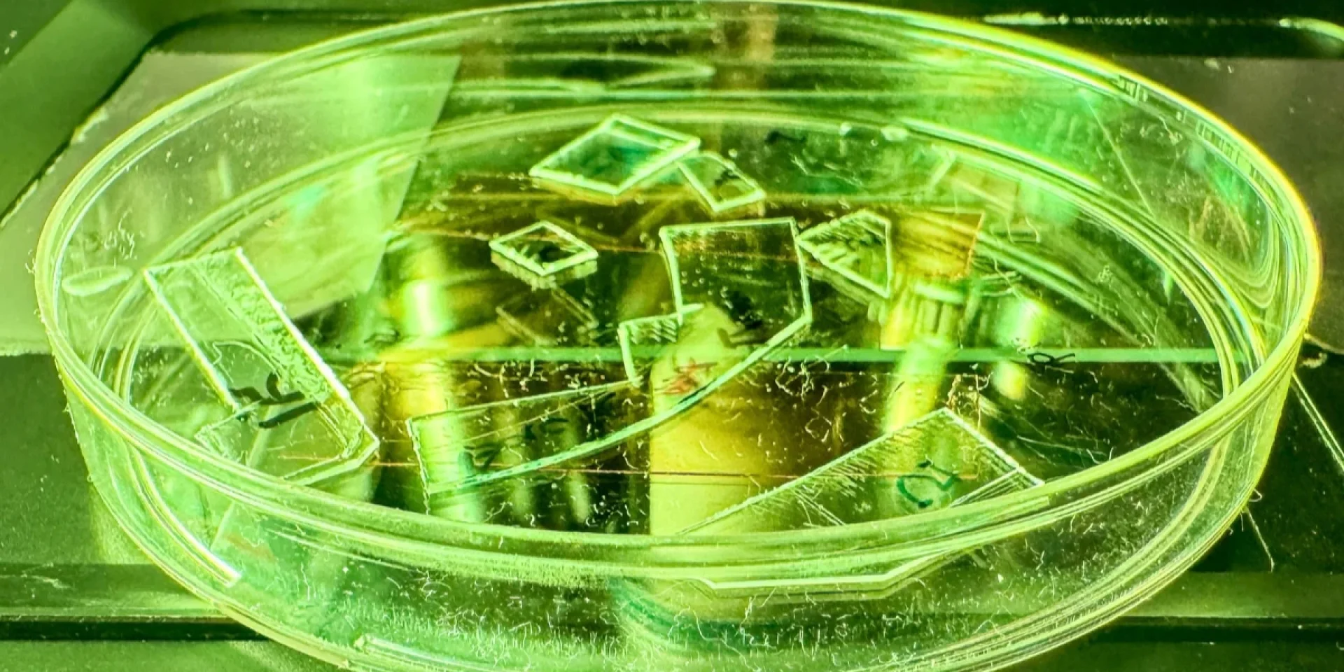 Експерти розробили новий тип плівки, здатної фізично знищувати віруси на різних поверхнях, що є ефективнішою альтернативою звичайним дезінфекційним засобам.