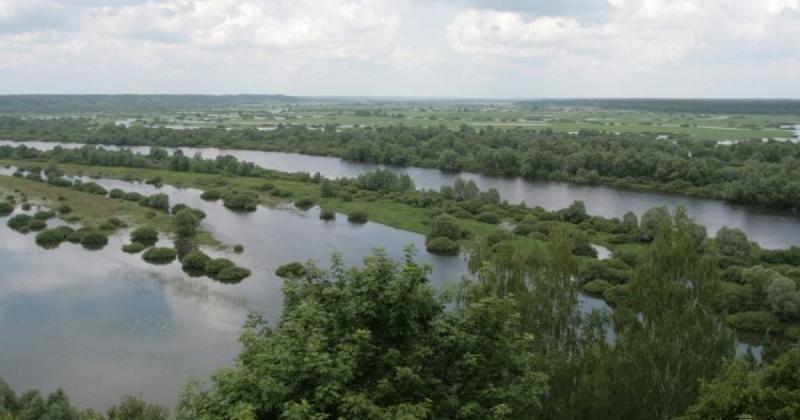 Забруднена вода з річки Сейм прямує до Чернігова: в ОДА застерігають про загрозу