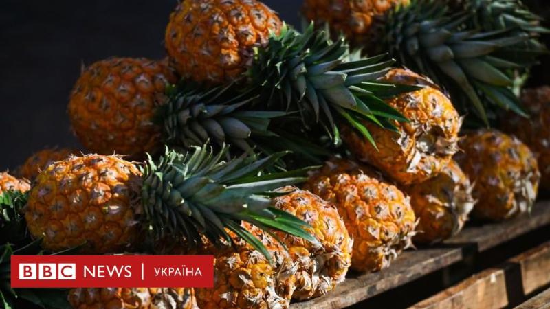 Флірт з ананасами: нова романтична тенденція стає все популярнішою - BBC News Україна.