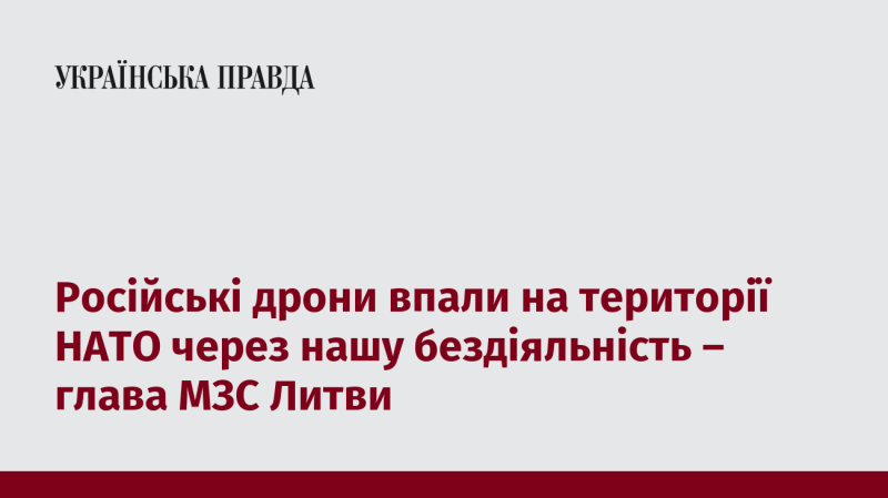 Глава Міністерства закордонних справ Литви заявив, що російські дрони приземлилися на території НАТО внаслідок нашої бездіяльності.