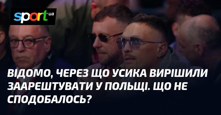 Стало відомо, з яких причин Усика вирішили затримати в Польщі. Що викликало незадоволення?