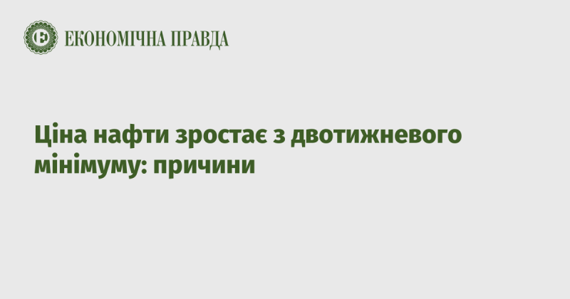 Ціни на нафту підвищуються після двотижневого спаду: фактори впливу.