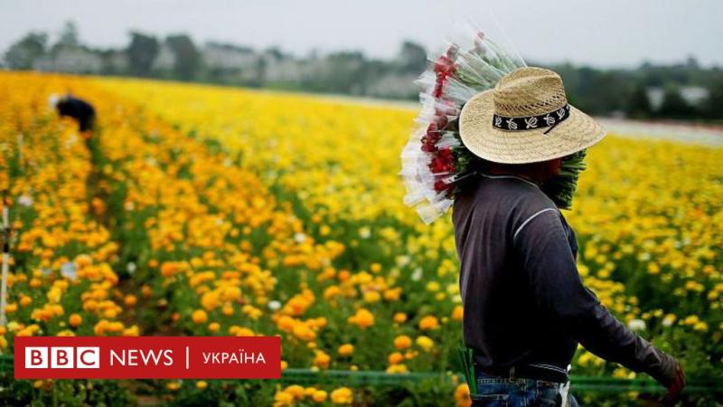 Як би виглядали США без іммігрантів - BBC News Україна