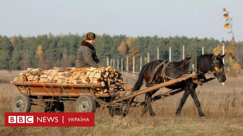 На кого вплине новий закон щодо лісозаготівель - BBC News Україна