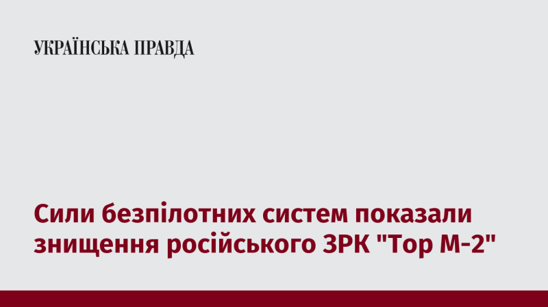 Безпілотні системи продемонстрували здатність знищувати російський зенітний ракетний комплекс 