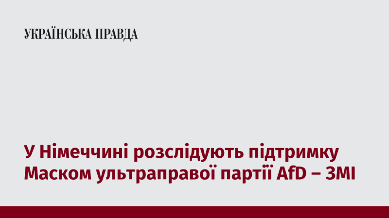 У Німеччині триває розслідування щодо можливого сприяння Ілона Маска ультраправій партії AfD, повідомляють ЗМІ.