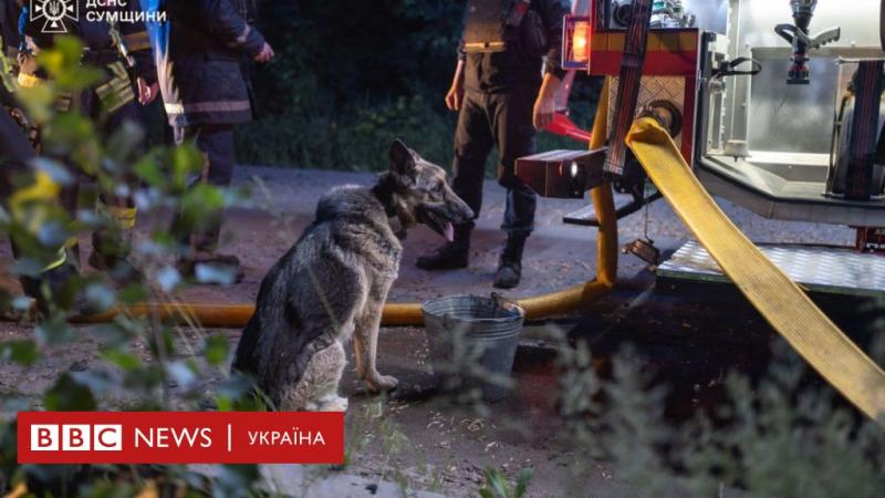 Російські війська окупували чотири села в Сумському районі, а вночі здійснили обстріл міста, використовуючи дрони та касетні бомби, передає BBC News Україна.