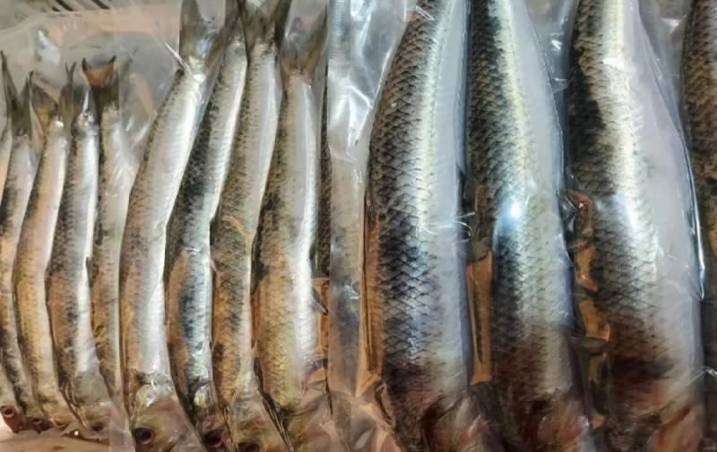 Цю оселедець категорично не слід купувати в магазині, навіть якщо на нього діє знижка.