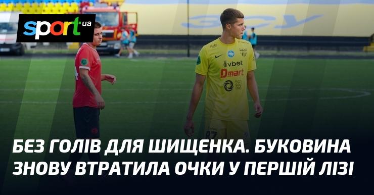 Без забитих м’ячів для Шищенка. Буковина знову не змогла здобути очки у Першій лізі.
