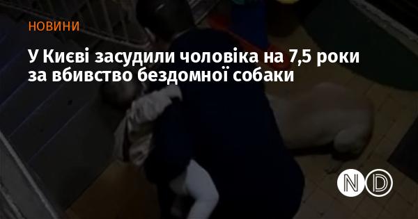 У Києві винесли вирок чоловіку, який отримав 7,5 років позбавлення волі за вбивство безпритульного пса.