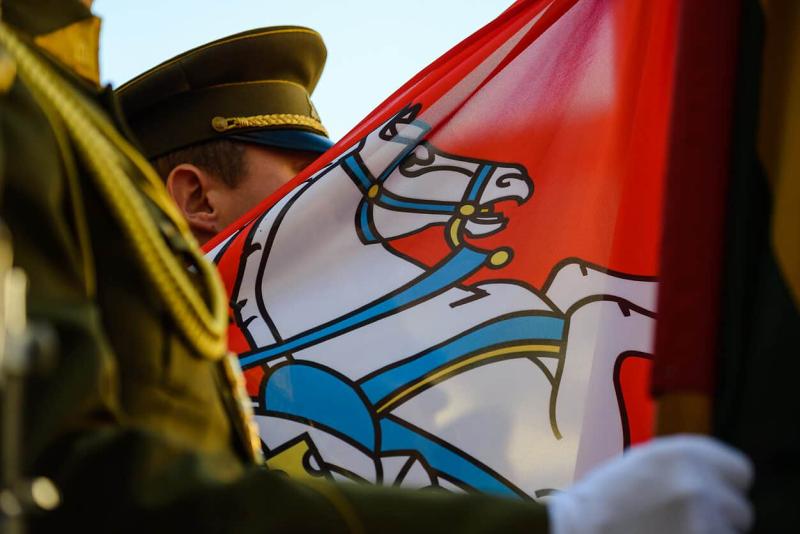 Литовські збройні сили отримали протитанкові ракети на загальну суму 6 мільйонів євро.