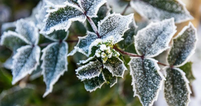 Заморозки до -3°C та ризик виникнення пожеж: в яких регіонах України слід бути обережними через погодні небезпеки.