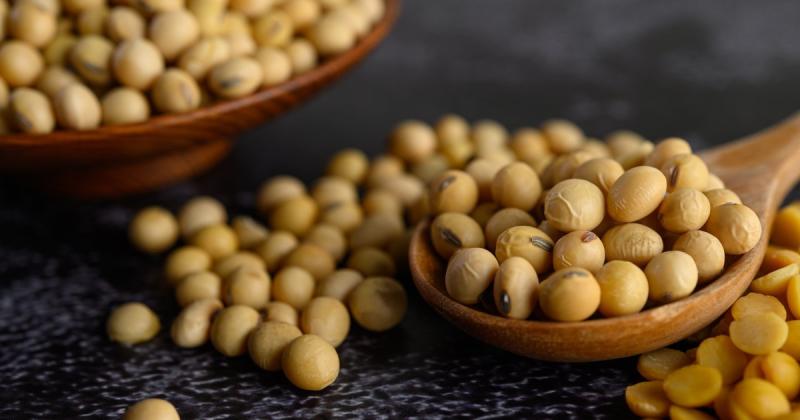 Ціни на соєві боби в українських портах підвищились: що стало причинами змін на ринку -- Delo.ua