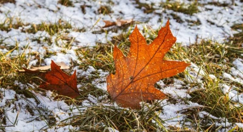 Зима нагадує про своє прибуття: метеоролог прогнозує снігопади та зниження температури в Україні.