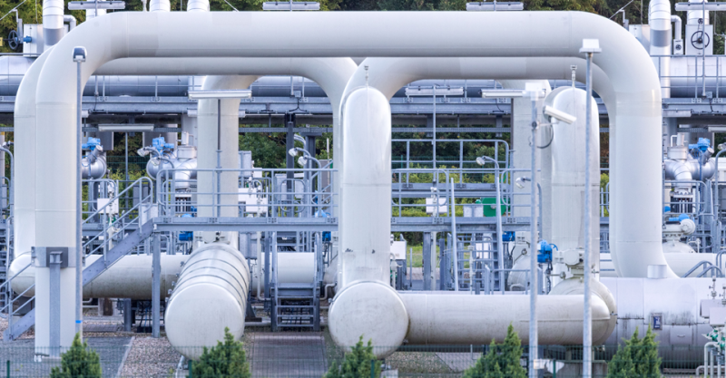 Підозрюваний у причетності до вибухів на Північних потоках українець почав голодування.