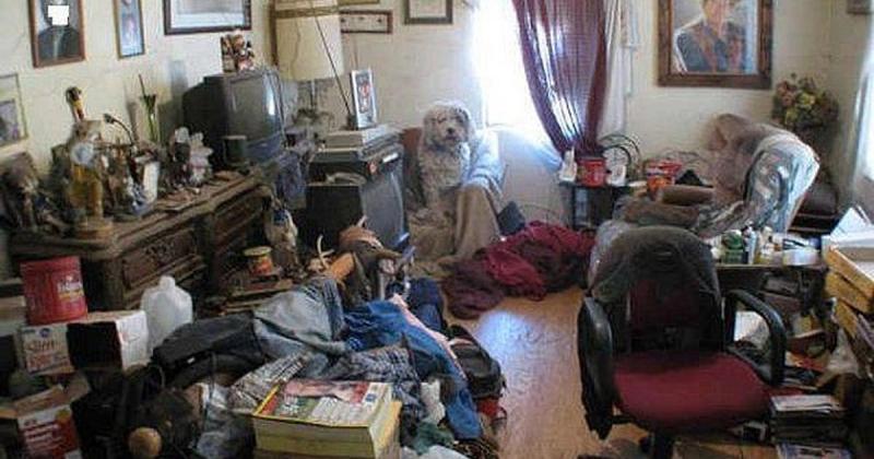 Будинок, який залишили орендарі, приголомшив користувачів мережі — це справжнє лихо.