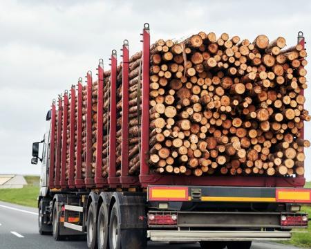 Чотири банки успішно отримали акредитацію для видачі банківських гарантій у сфері торгівлі деревиною.