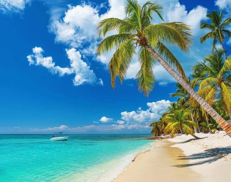 П'ять найкращих курортів Домініканської Республіки для зимового відпочинку 2026 року