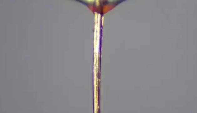 Робот використовує судини для доставки медикаментів, в той час як комариний хоботок служить для 3D-друку органів.