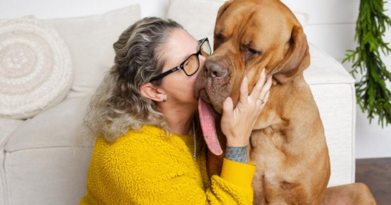 Книга рекордів Гіннеса отримала нове поповнення: познайомтеся з власником найдовшого собачого язика у світі - Техно bigmir)net.