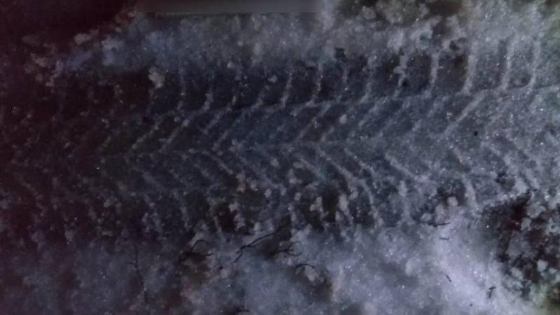 Укргідрометцентр зробив попередження щодо можливого утворення ожеледиці та налипання вологого снігу в ряді областей.