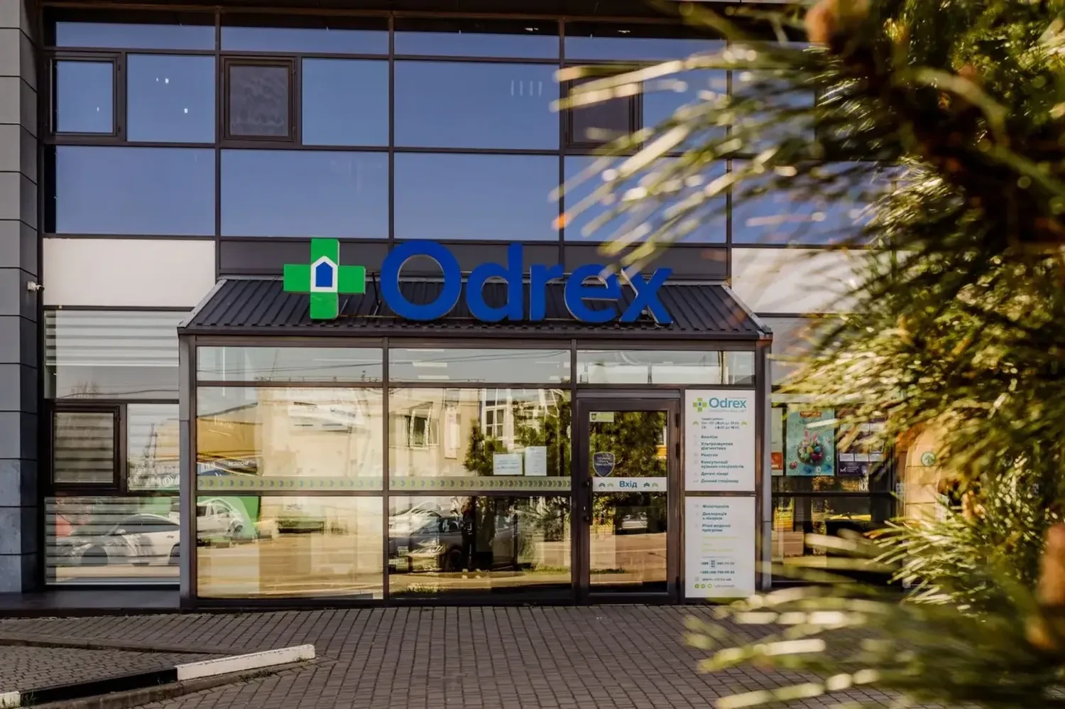 Тривожна тенденція: що спільного між історіями пацієнтів Odrex і чому клініка прагне 