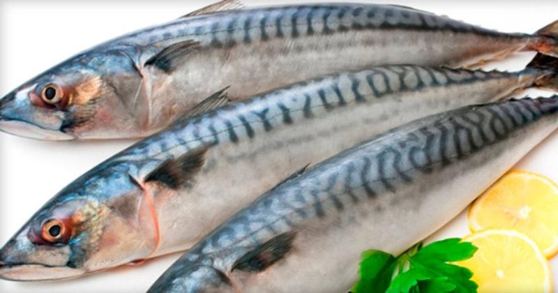 Маринована скумбрія: як перетворити рибу на вишукану страву.