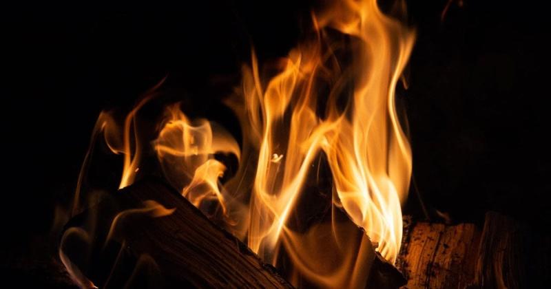 Три найефективніші види дров, що забезпечують вдвічі більше тепла та триваліший горіння: рекомендації спеціалістів.