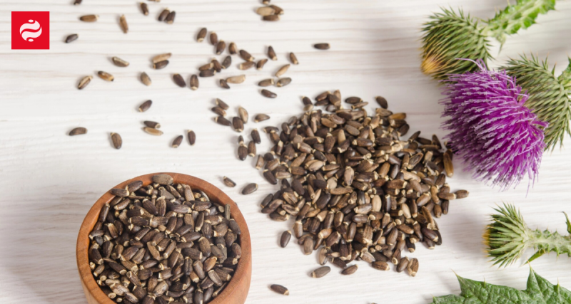 Природний метод для зменшення симптомів похмілля та підтримки здоров'я печінки: важлива інформація про розторопшу.