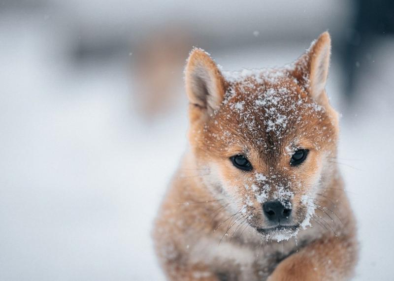 Астрологічний прогноз для кожного знака зодіаку на 7 січня 2026 року.