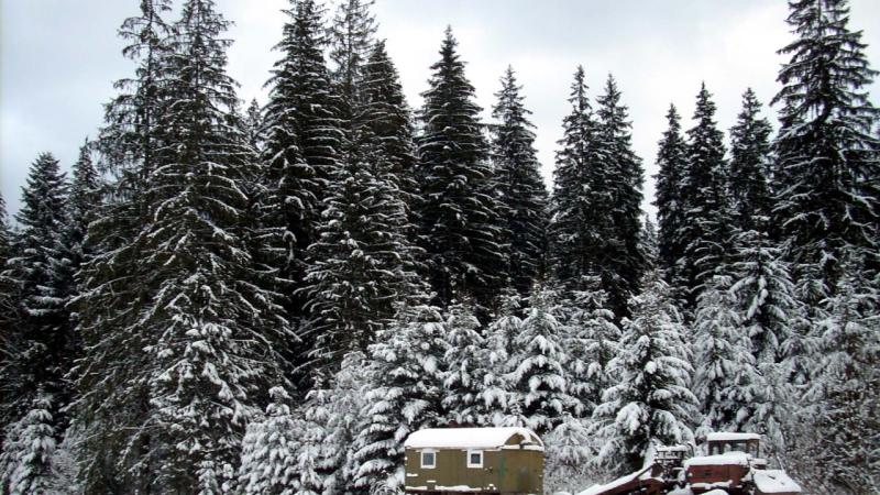 При температурі -20°C в Україні введуть нові обмеження на постачання електроенергії.