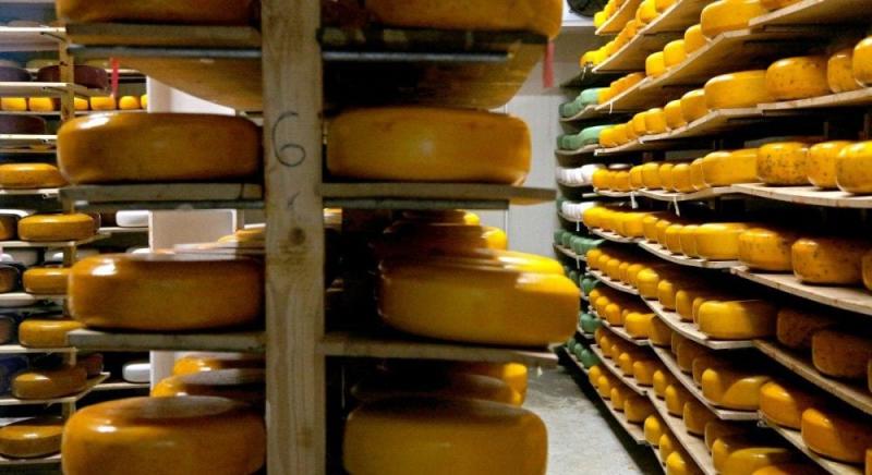Українські виробники сиру зменшують обсяги виробництва: які фактори вплинули на це рішення?