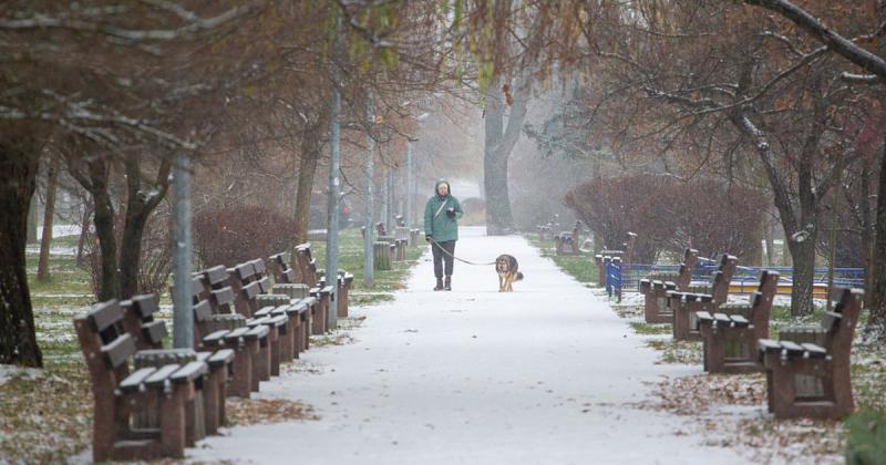 Погода в Україні 9 січня: сильний вітер і снігові бурі охопили практично всі регіони - Новини bigmir)net.