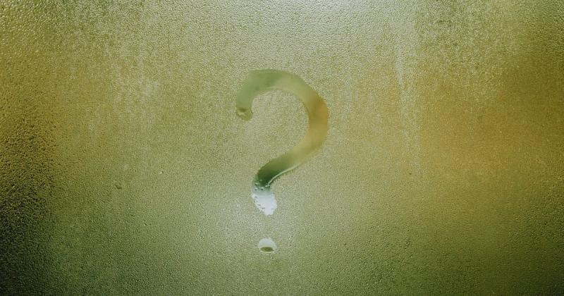 Зразу на зображенні помітили двох дівчат: ваше спостереження вражає – давайте перевіримо!