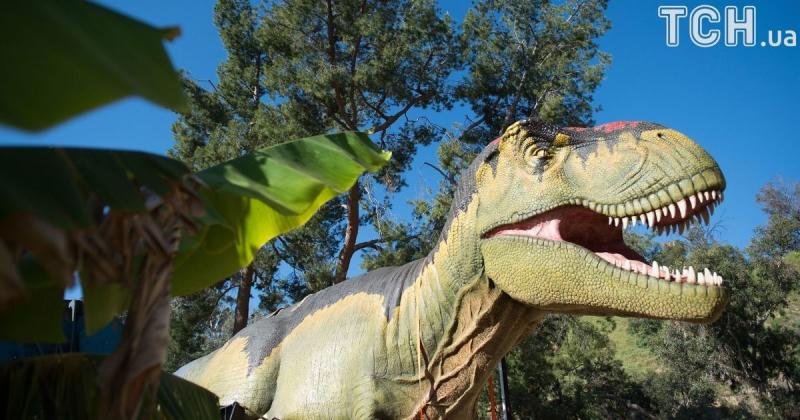 Не один і не два роки: як швидко дорослішали тиранозаври.