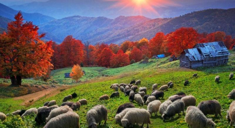 $20 мільярдів прибутку: яка сільськогосподарська сфера може стати новим конкурентною перевагою України