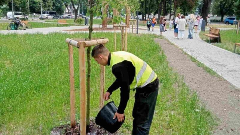 У Львівській міській раді пояснили, чому для обслуговування зелених насаджень залучають професійних підрядників.