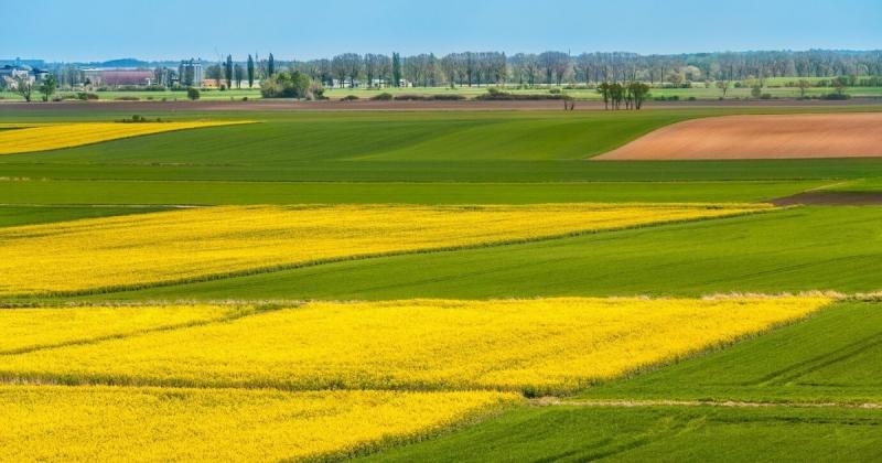 Ринок земельних ділянок в Україні досяг обсягу понад мільйон гектарів, а вартість зросла на 96% — повідомляє Delo.ua.