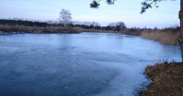 На ставку в Черкащині були виявлені тіла двох малолітніх дітей.