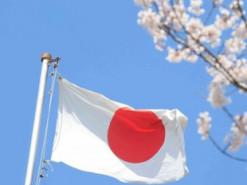 В Японії затвердили нові, більш суворі норми щодо експлуатації безпілотників.