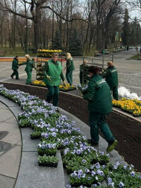 У центрі Харкова з'явилася перша клумба цього року - ФОТО.