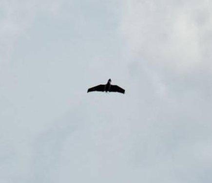 Російські війська завдали удару по Полтавщині: серед постраждалих є дитина.