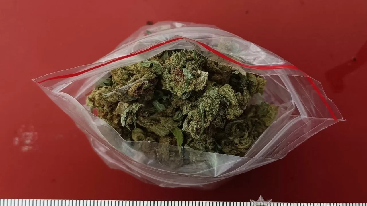 У Одесі правоохоронці затримали літнього чоловіка, який займався продажем канабісу на ринку | Основні новини України