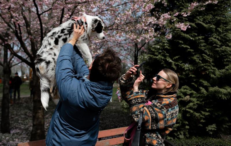 Протягом найближчого тижня значних змін у погодних умовах не очікується, проте температура дещо підвищиться: огляд прогнозу для України (з картами).