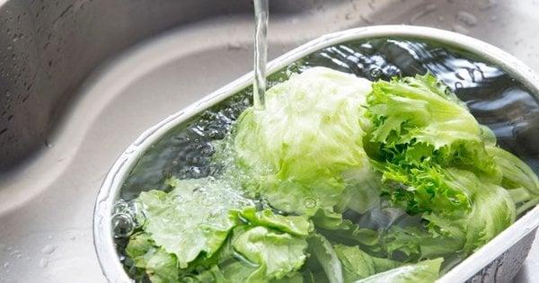 Є шанс на порятунок: як відновити зів'ялий салат всього за 15 хвилин.